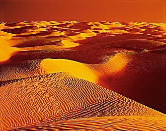 Fami通新一周销量榜 《超级马里奥兄弟：惊奇》四连冠