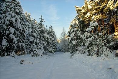 IGN调查：超86%的玩家不买PS5 Pro 太贵了