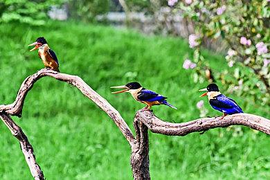 《不朽者传奇》Steam国区248元 战役25小时